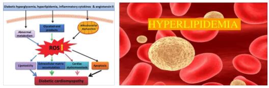 Type III hyperlipidemia
